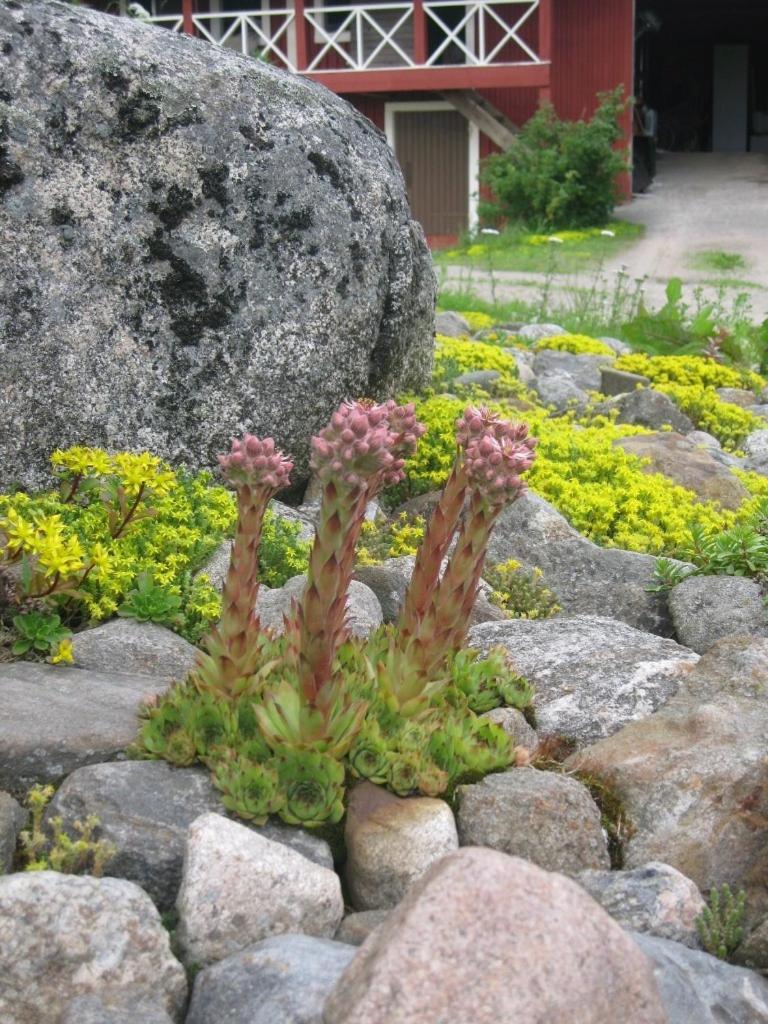 Tuukkalan Tila B&B Ristiina Exteriér fotografie